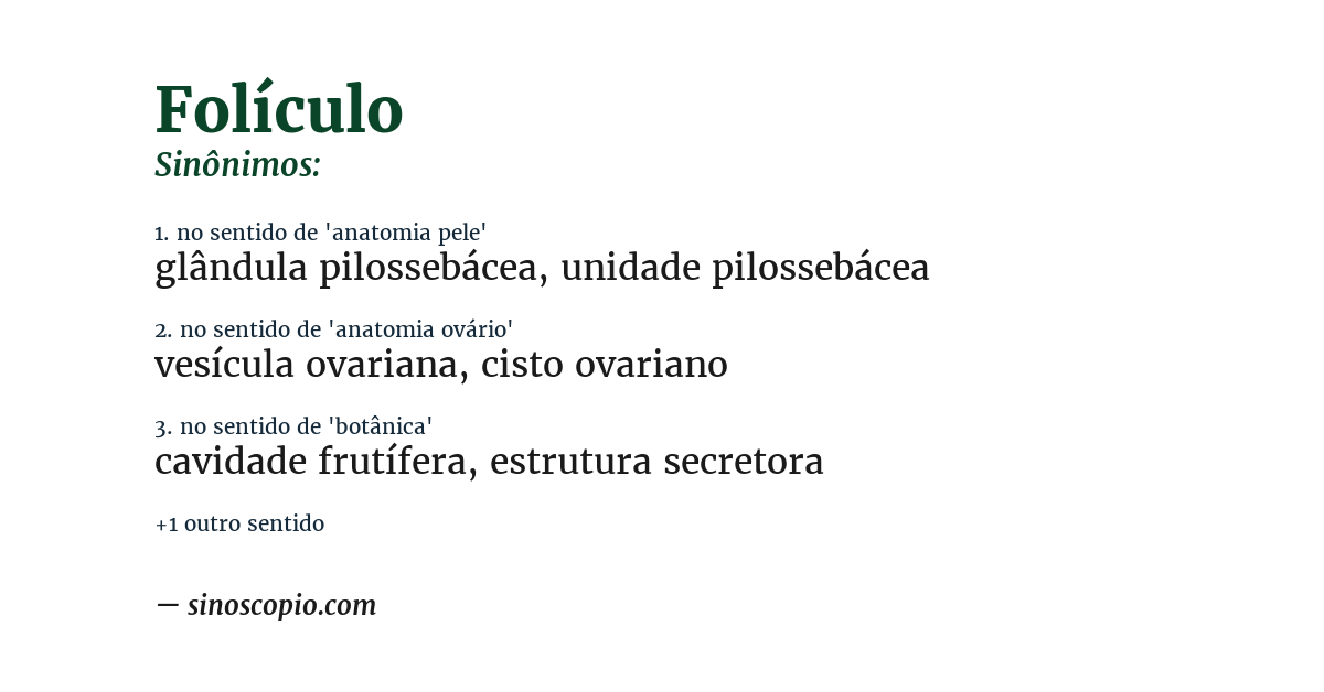 Sinônimo de folículo