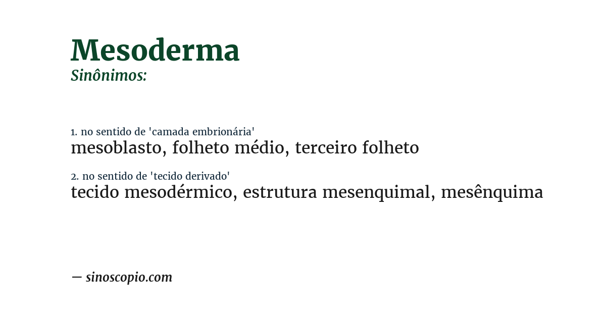 Sinônimo de mesoderma